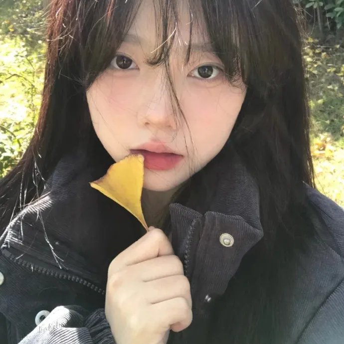 完全夏绿蒂