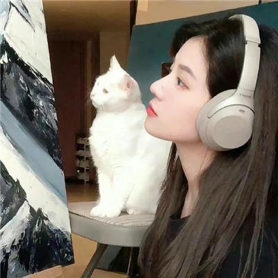 府上娶了个锦鲤新娘